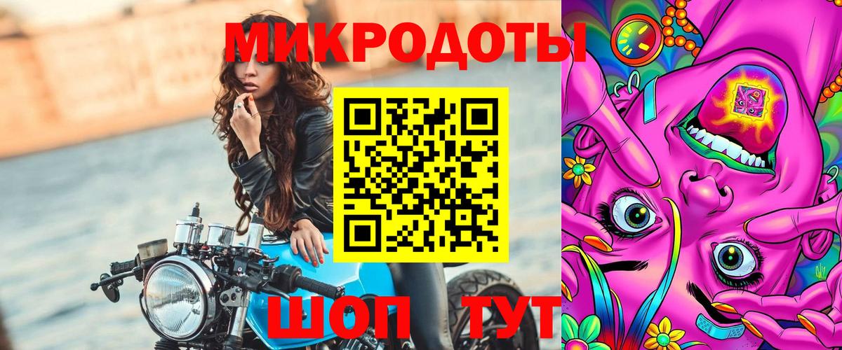 Псилоцибиновые грибы Psilocybine cubensis  Вход с VPN  Сланцы  Псилоцибиновые грибы мицелий 