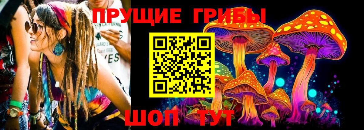 Псилоцибиновые грибы мухоморы Сланцы