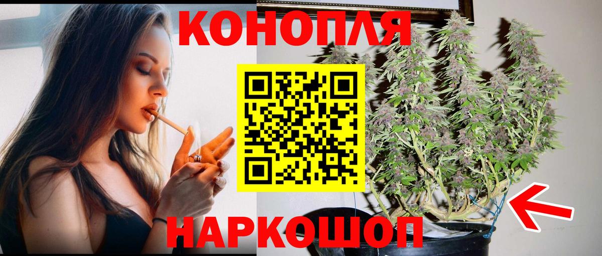 Сланцы  Канабис план  МАРИХУАНА сатива  Вход с VPN  Шишки марихуана AK-47 